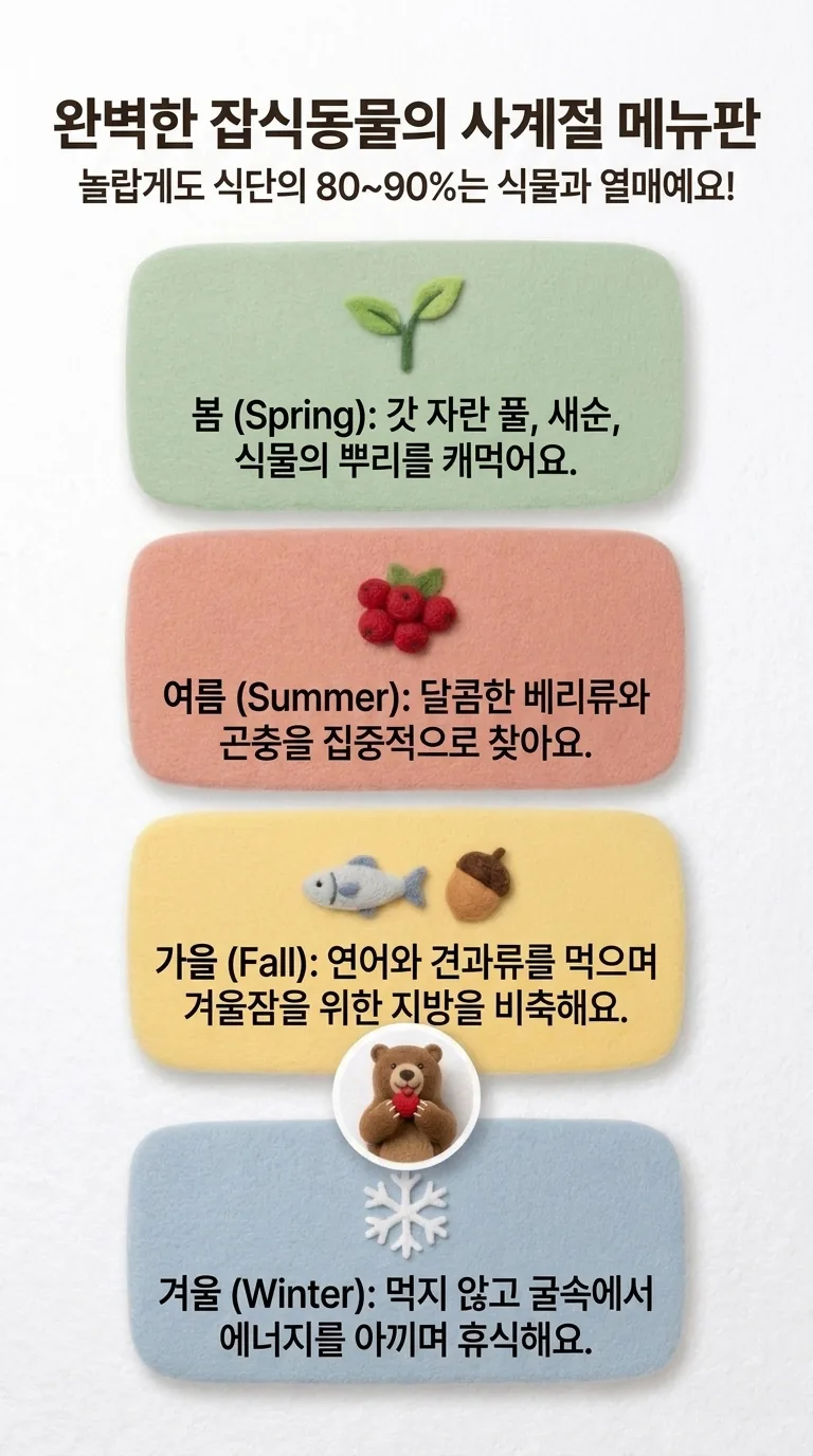 완벽한 잡식동물의 사계절 메뉴판 — 놀랍게도 식단의 80 ~ 90%는 식물과 열매예요! — 봄 (Spring) / 여름 (Summer) / 가을 (Fall) / 겨울 (Winter)