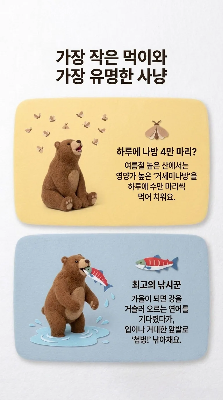 가장 작은 먹이와 가장 유명한 사냥 — 하루에 나방 4만 마리? / 최고의 낚시꾼