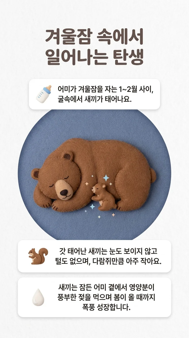 겨울잠 속에서 일어나는 탄생