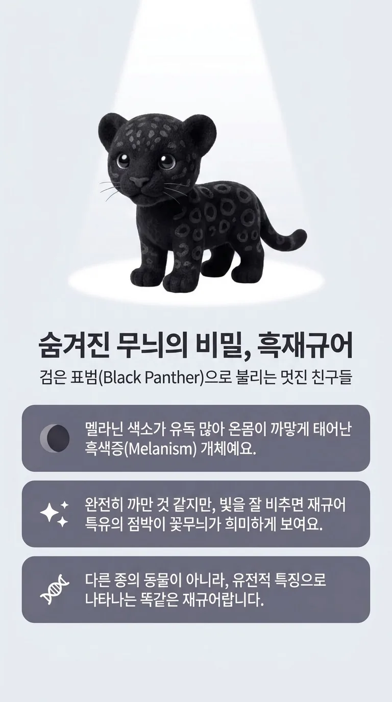 숨겨진 무늬의 비밀, 흑재규어 — 검은 표범(Black Panther)으로 불리는 멋진 친구들