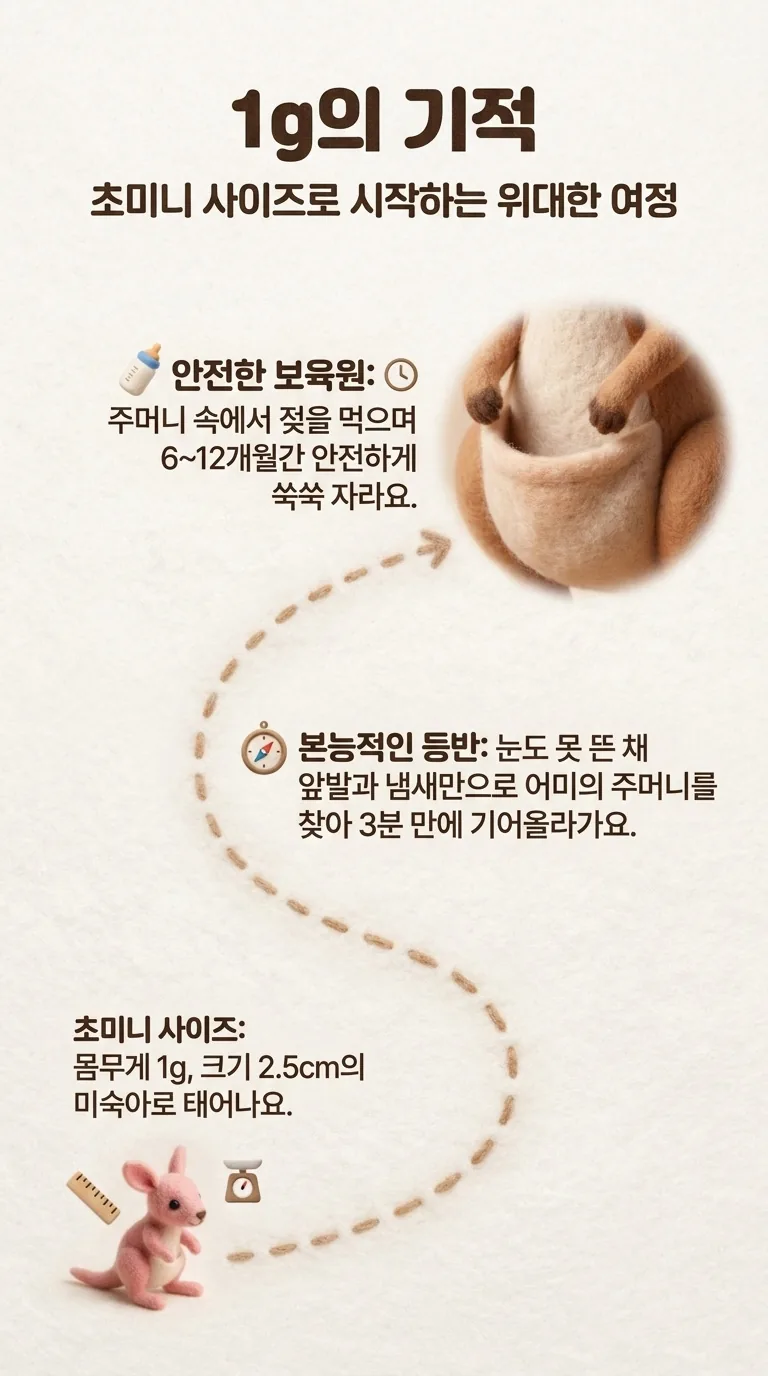 1g의 기적 — 초미니 사이즈로 시작하는 위대한 여정 — 초미니 사이즈 / 본능적인 등반 / 안전한 보육원