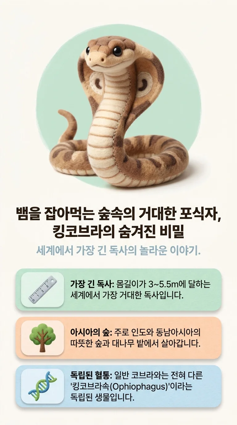 뱀을 잡아먹는 숲속의 거대한 포식자, 킹코브라의 숨겨진 비밀 — 세계에서 가장 긴 독사의 놀라운 이야기. — 가장 긴 독사 / 아시아의 숲 / 독립된 혈통