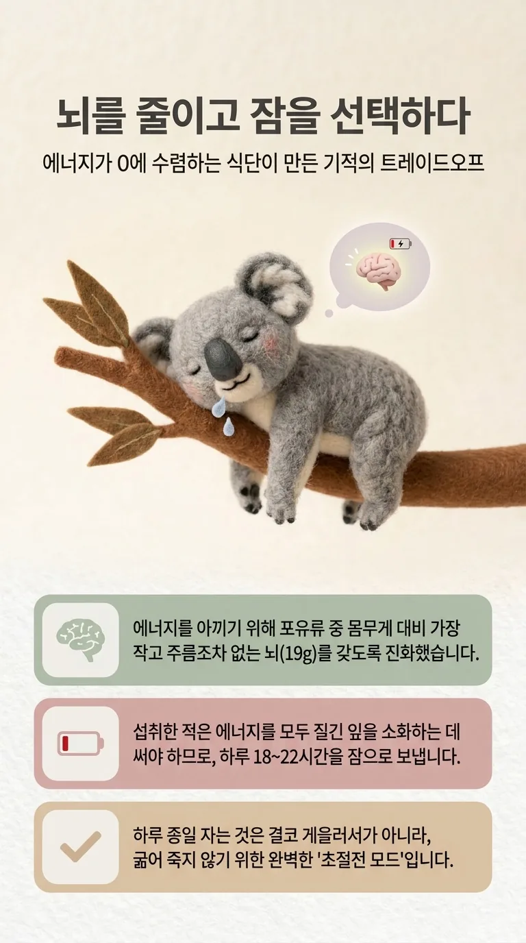 뇌를 줄이고 잠을 선택하다 — 에너지가 0에 수렴하는 식단이 만든 기적의 트레이드오프