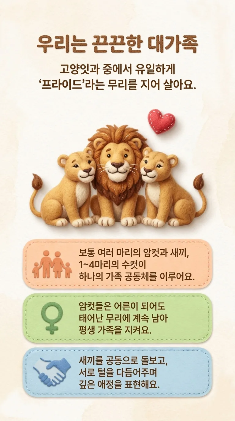 우리는 끈끈한 대가족 — 고양잇과 중에서 유일하게 '프라이드'라는 무리를 지어 살아요.