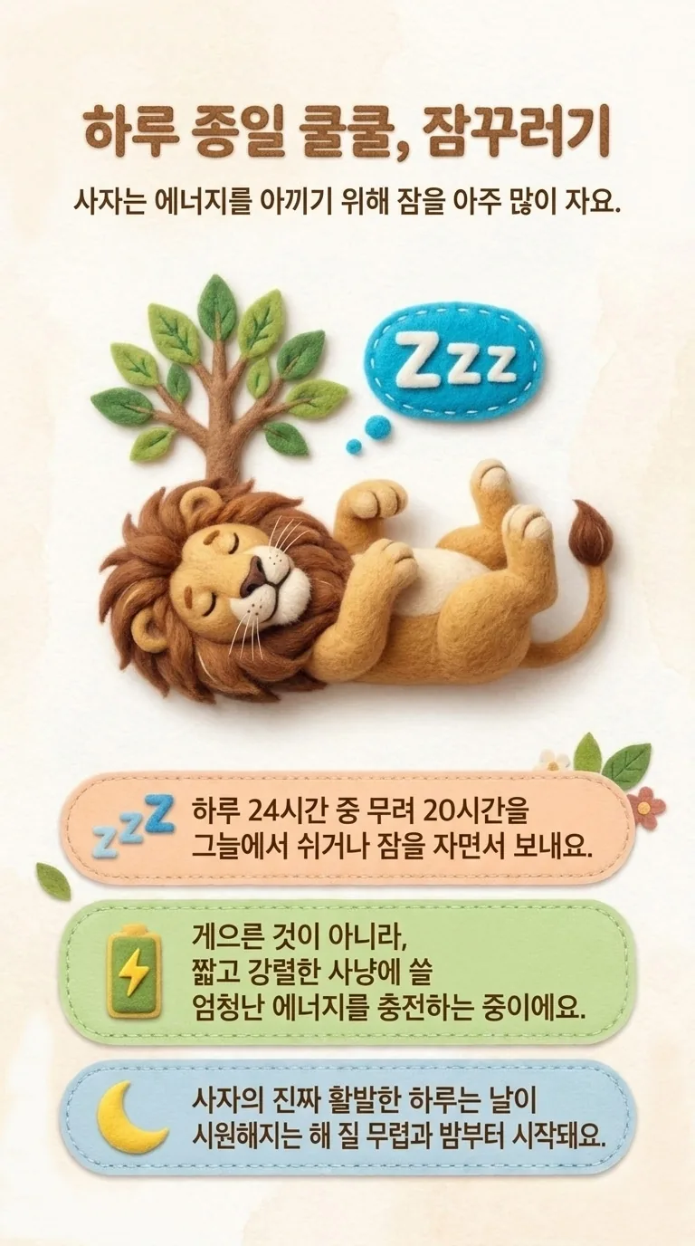 하루 종일 쿨쿨, 잠꾸러기 — 사자는 에너지를 아끼기 위해 잠을 아주 많이 자요.