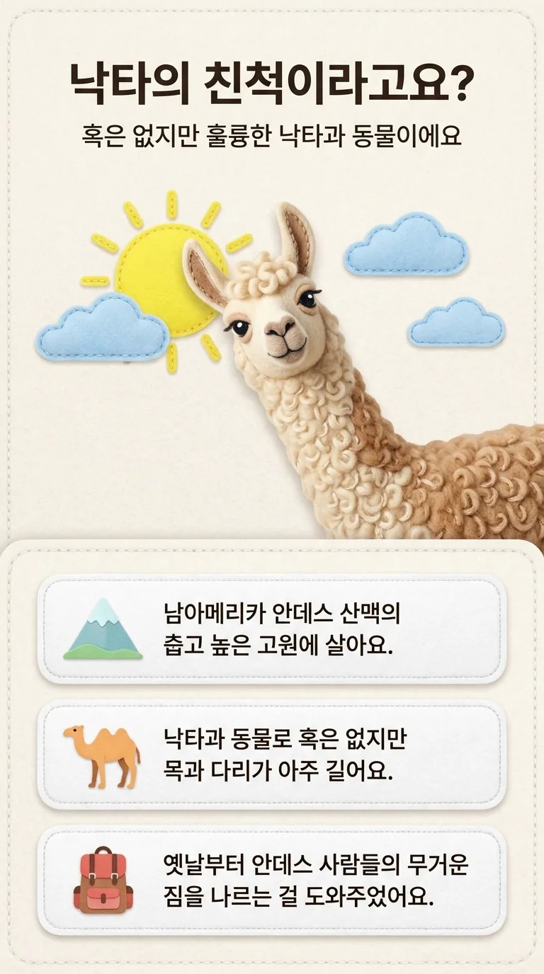 낙타의 친척이라고요? — 혹은 없지만 훌륭한 낙타과 동물이에요