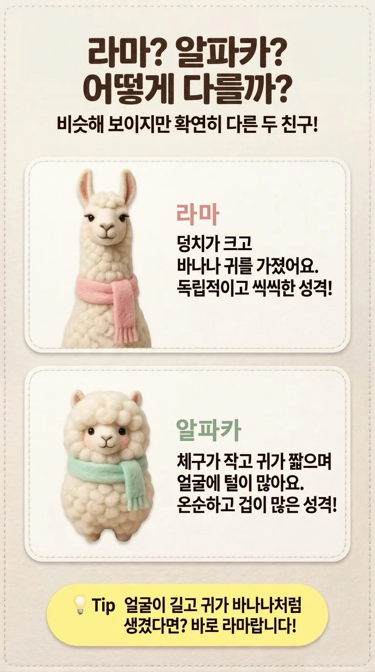 라마? 알파카? 어떻게 다를까? — 비슷해 보이지만 확연히 다른 두 친구! — 라마 / 알파카