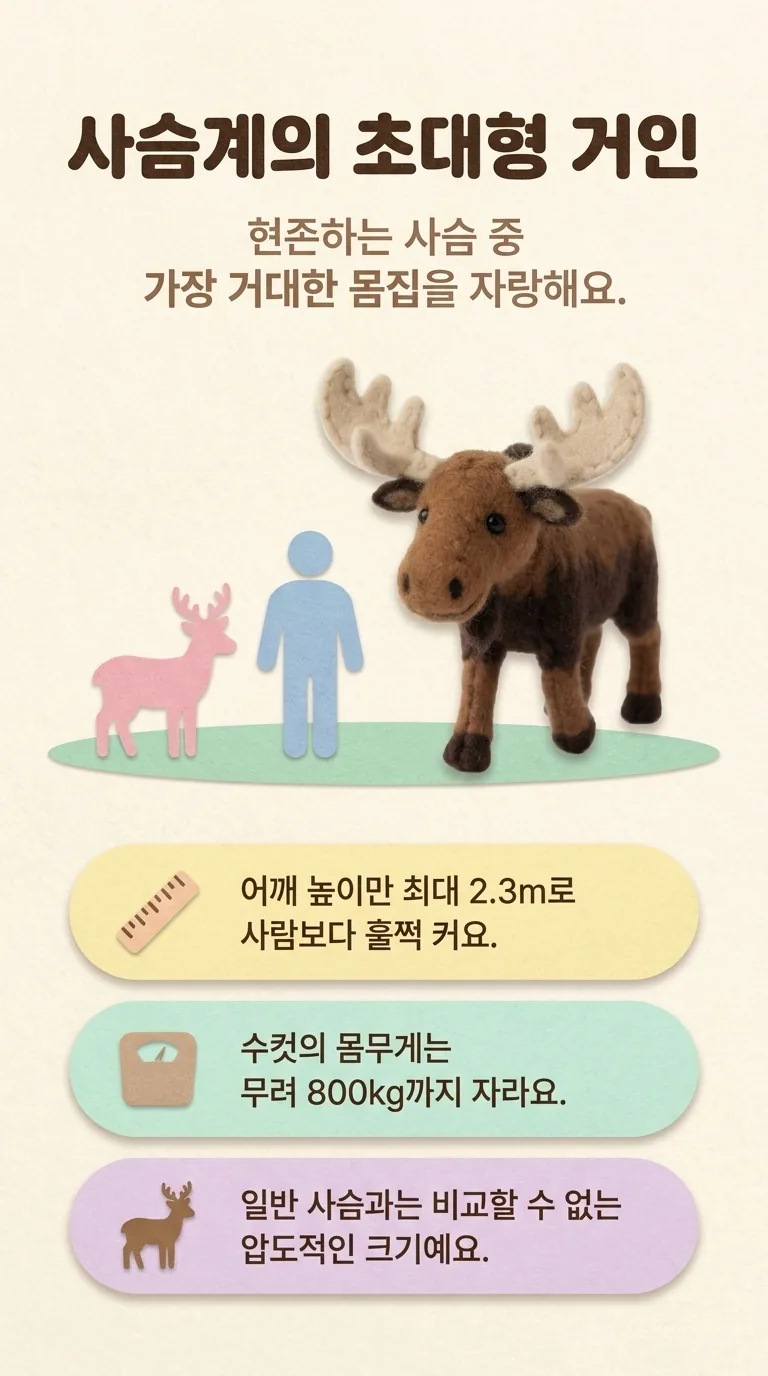 사슴계의 초대형 거인 — 현존하는 사슴 중 가장 거대한 몸집을 자랑해요.