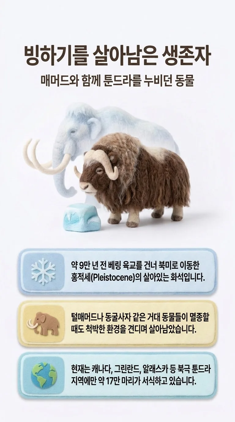 빙하기를 살아남은 생존자 — 매머드와 함께 툰드라를 누비던 동물