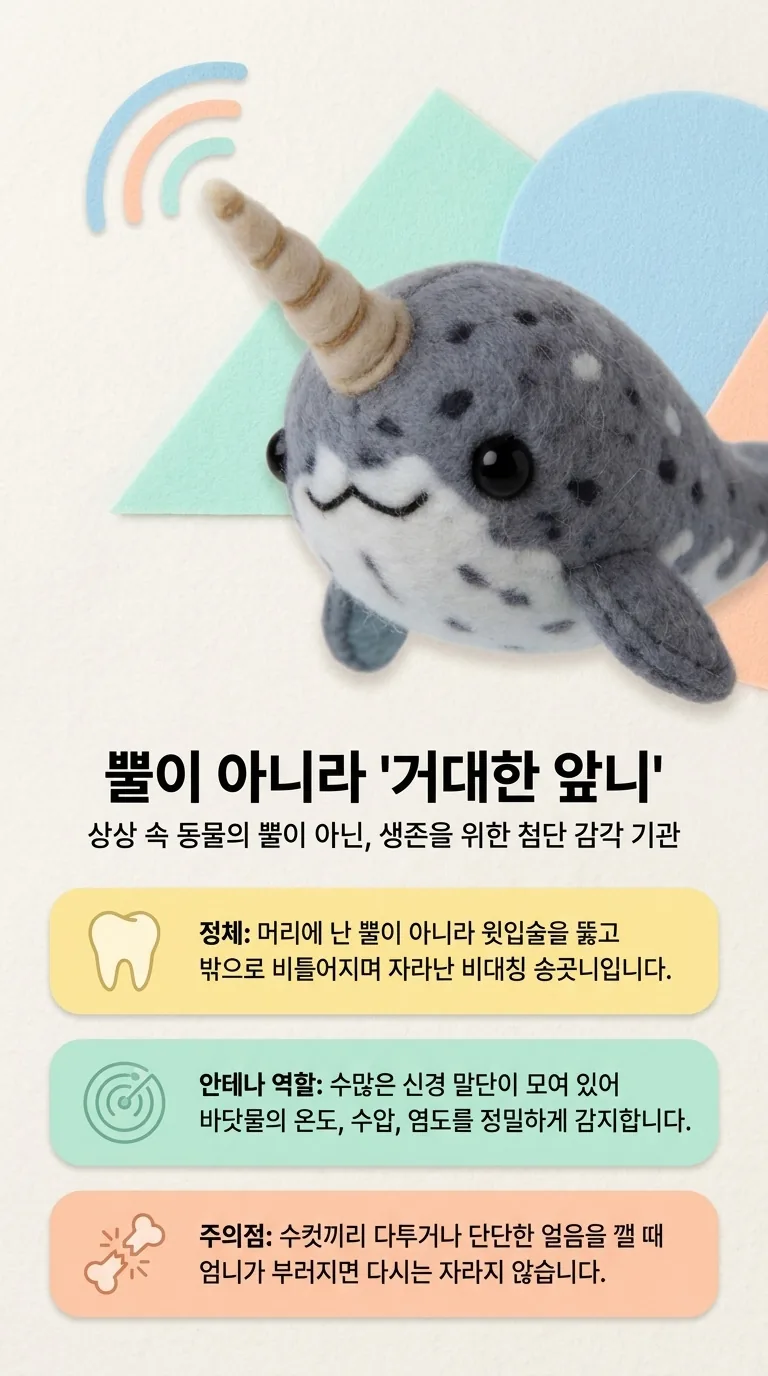 뿔이 아니라 '거대한 앞니' — 상상 속 동물의 뿔이 아닌, 생존을 위한 첨단 감각 기관 — 정체 / 안테나 역할 / 주의점
