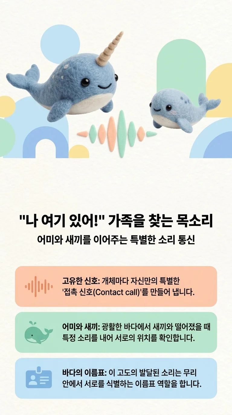"나 여기 있어!" 가족을 찾는 목소리 — 어미와 새끼를 이어주는 특별한 소리 통신 — 고유한 신호 / 어미와 새끼 / 바다의 이름표