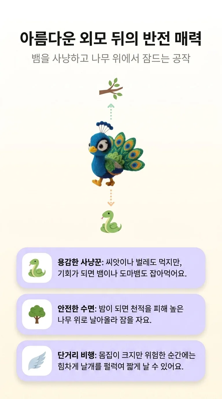 아름다운 외모 뒤의 반전 매력 — 뱀을 사냥하고 나무 위에서 잠드는 공작 — 용감한 사냥꾼 / 안전한 수면 / 단거리 비행