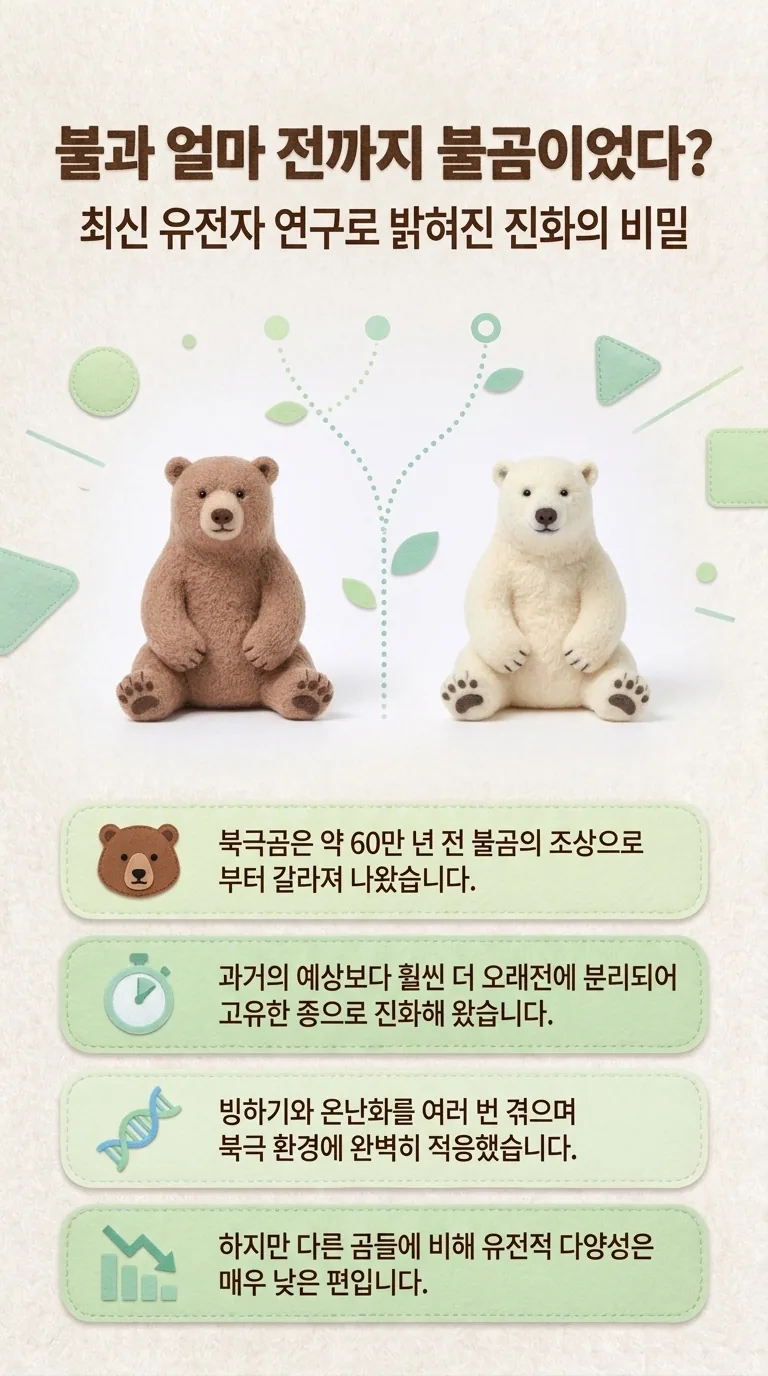 불과 얼마 전까지 불곰이었다? — 최신 유전자 연구로 밝혀진 진화의 비밀