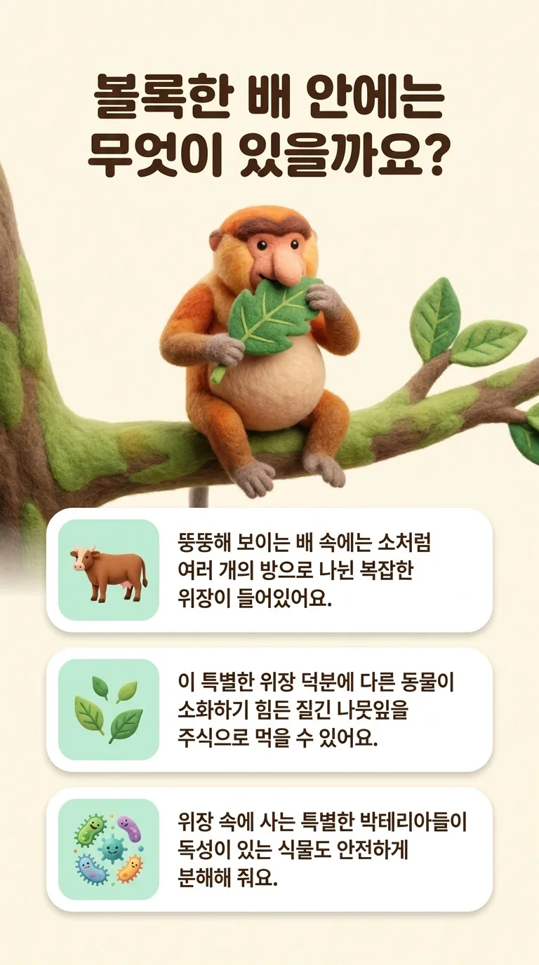 볼록한 배 안에는 무엇이 있을까요?