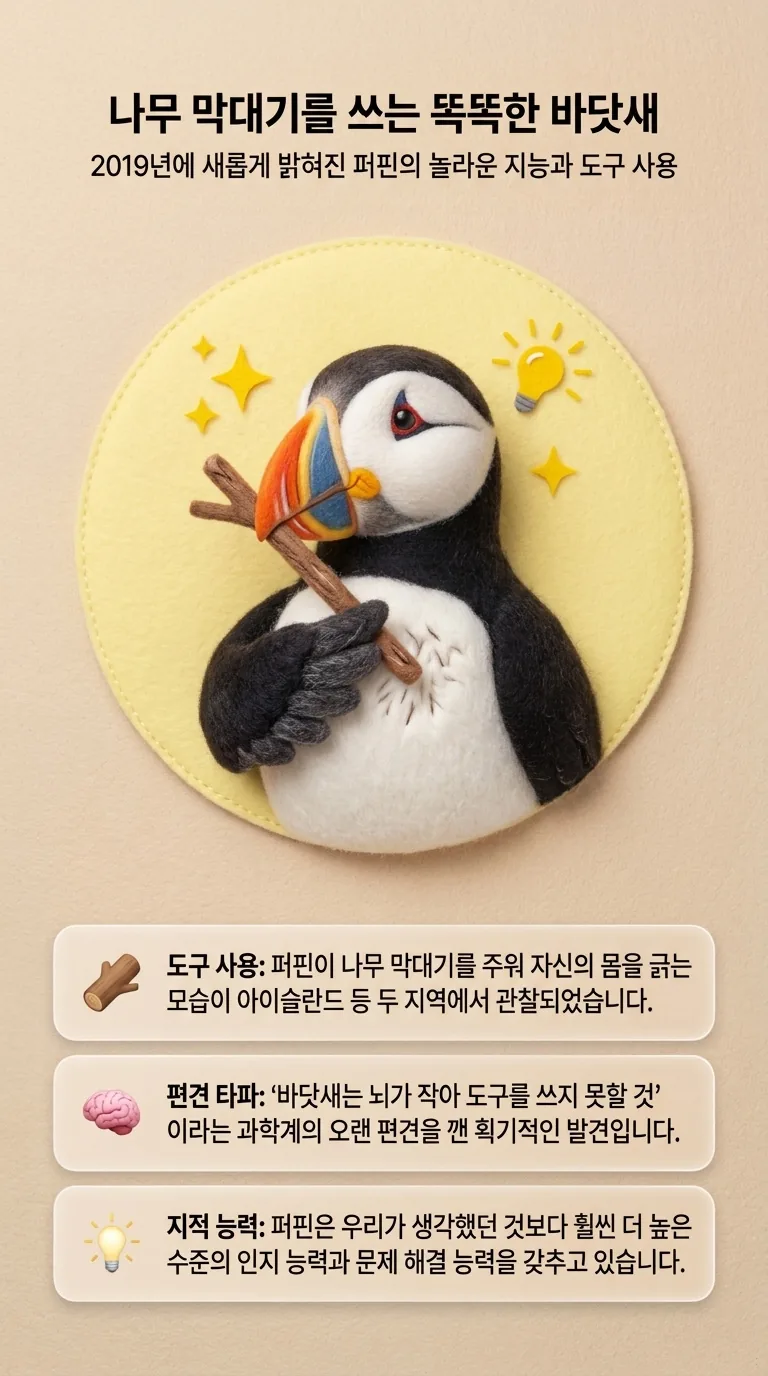 나무 막대기를 쓰는 똑똑한 바닷새 — 2019년에 새롭게 밝혀진 퍼핀의 놀라운 지능과 도구 사용 — 도구 사용 / 편견 타파 / 지적 능력
