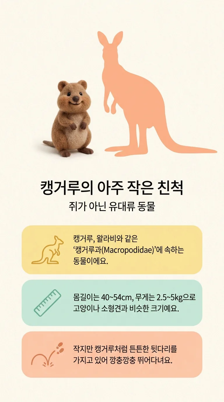캥거루의 아주 작은 친척 — 쥐가 아닌 유대류 동물
