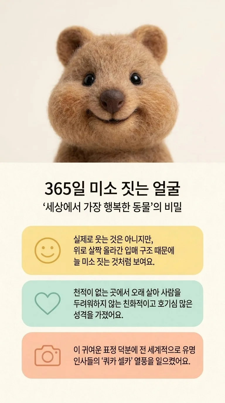 365일 미소 짓는 얼굴 — '세상에서 가장 행복한 동물'의 비밀
