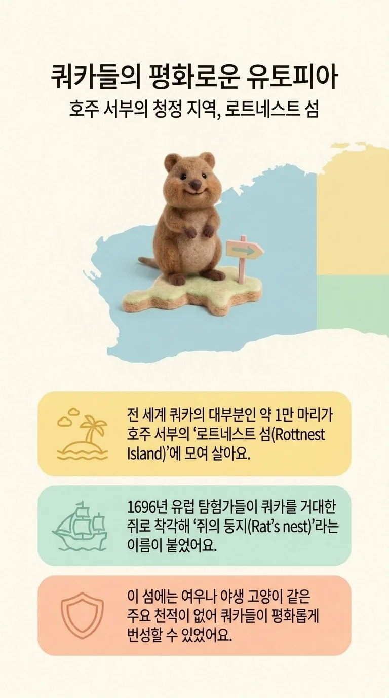 쿼카들의 평화로운 유토피아 — 호주 서부의 청정 지역, 로트네스트 섬