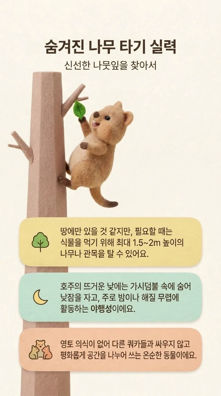 숨겨진 나무 타기 실력 — 신선한 나뭇잎을 찾아서