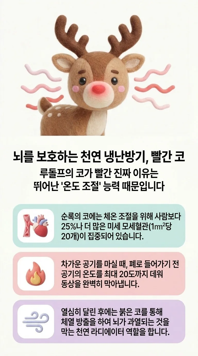 뇌를 보호하는 천연 냉난방기, 빨간 코 — 루돌프의 코가 빨간 진짜 이유는 뛰어난 '온도 조절' 능력 때문입니다