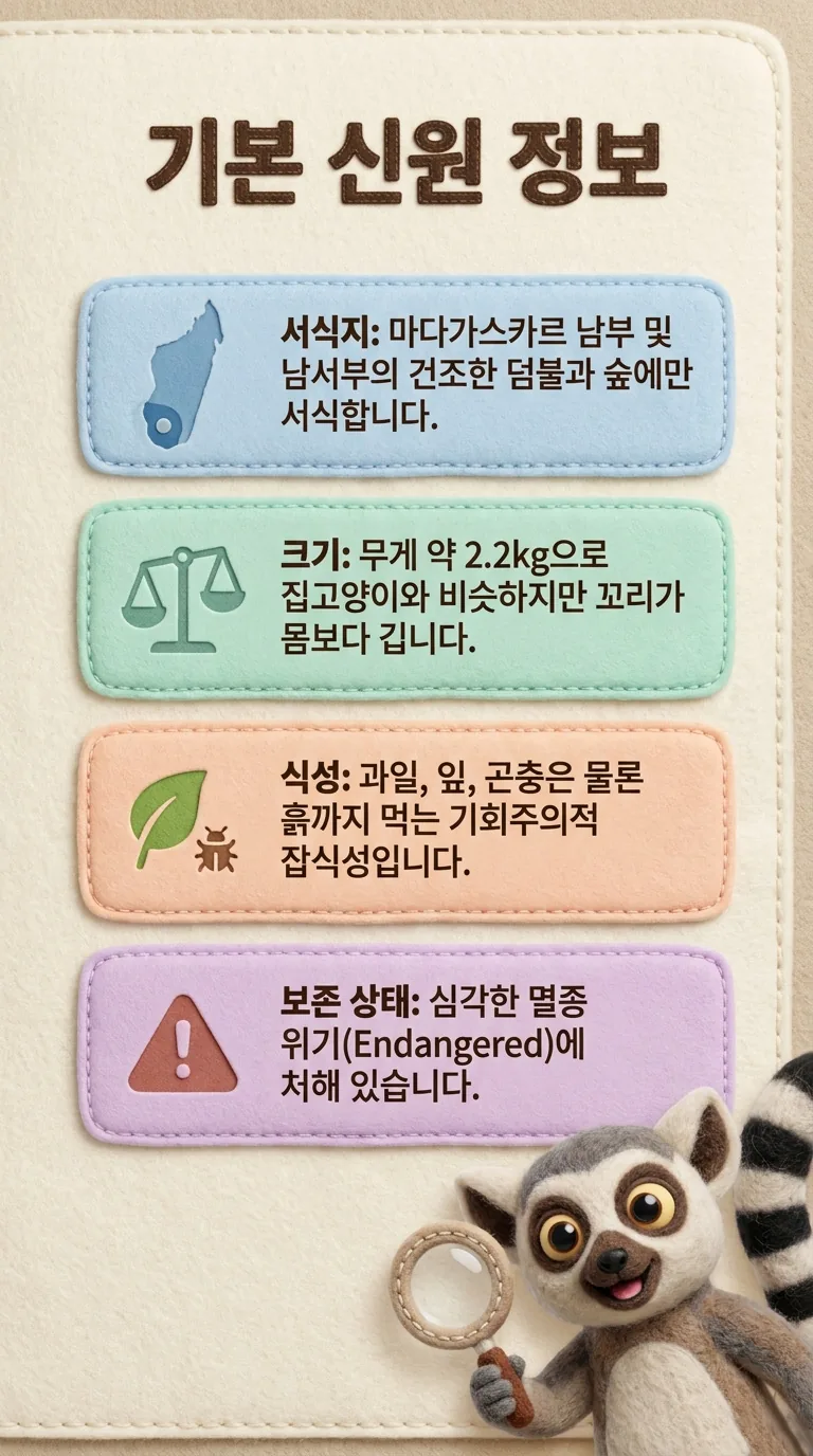 기본 신원 정보 — 서식지 / 크기 / 식성 / 보존 상태