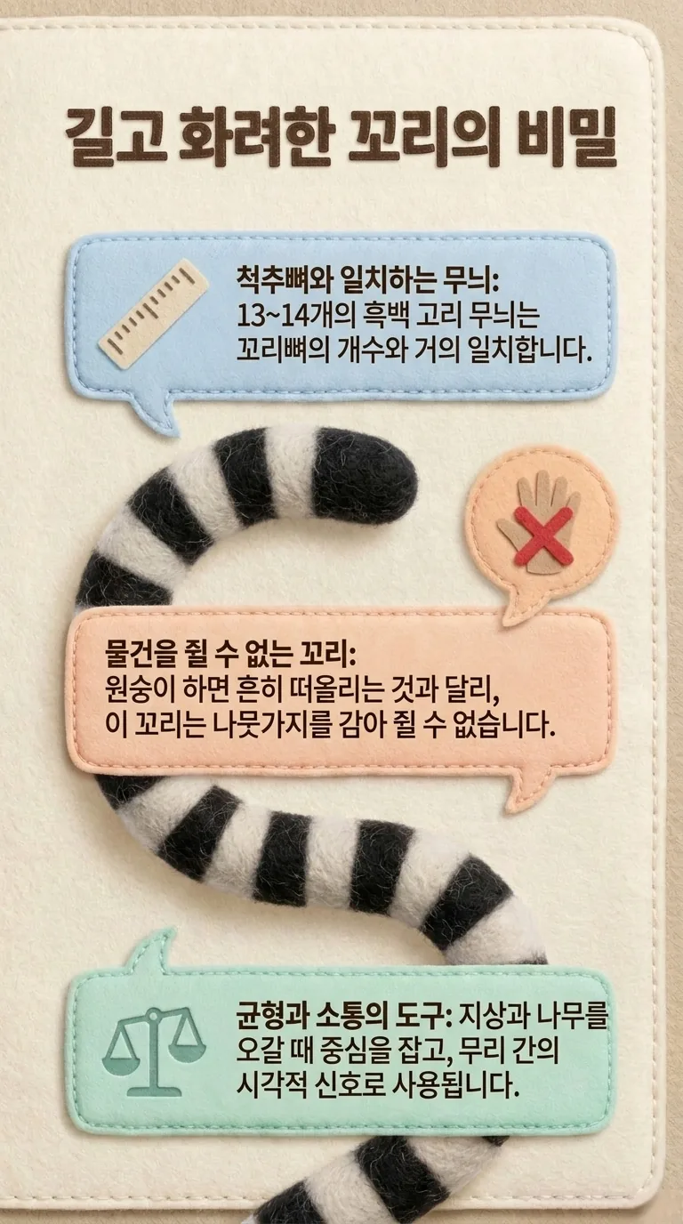 길고 화려한 꼬리의 비밀 — 척추뼈와 일치하는 무늬 / 물건을 쥘 수 없는 꼬리 / 균형과 소통의 도구