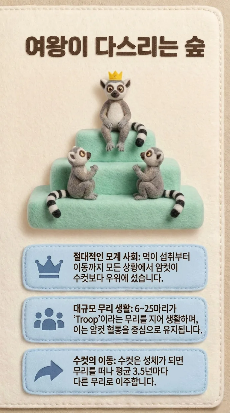 여왕이 다스리는 숲 — 절대적인 모계 사회 / 대규모 무리 생활 / 수컷의 이동