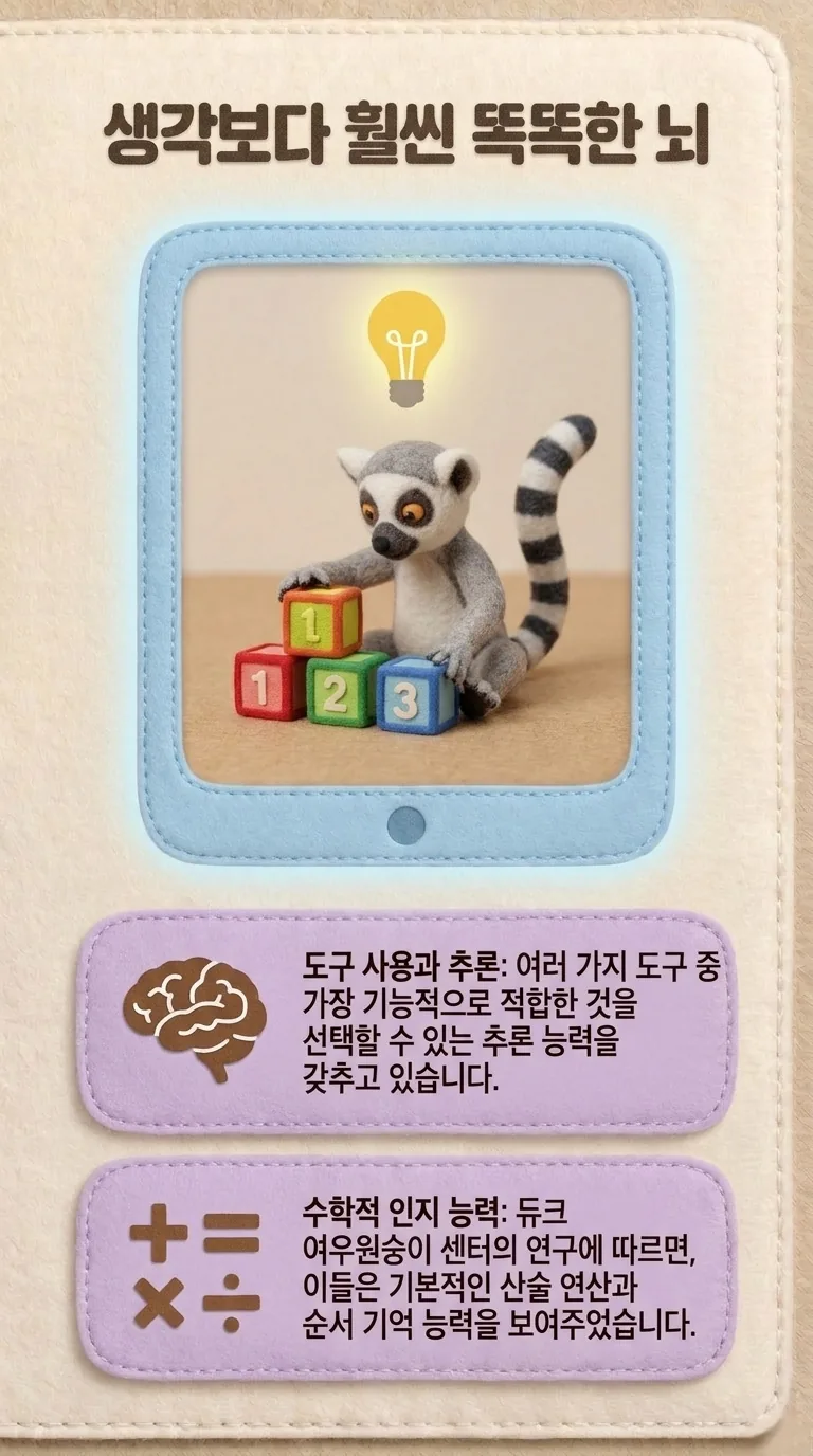 생각보다 훨씬 똑똑한 뇌 — 도구 사용과 추론 / 수학적 인지 능력