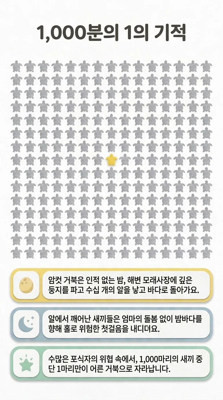 1,000분의 1의 기적