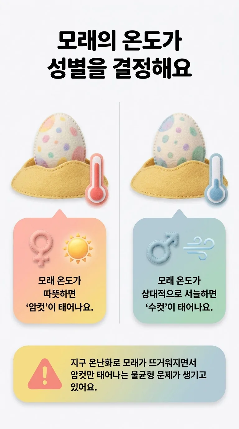 모래의 온도가 성별을 결정해요