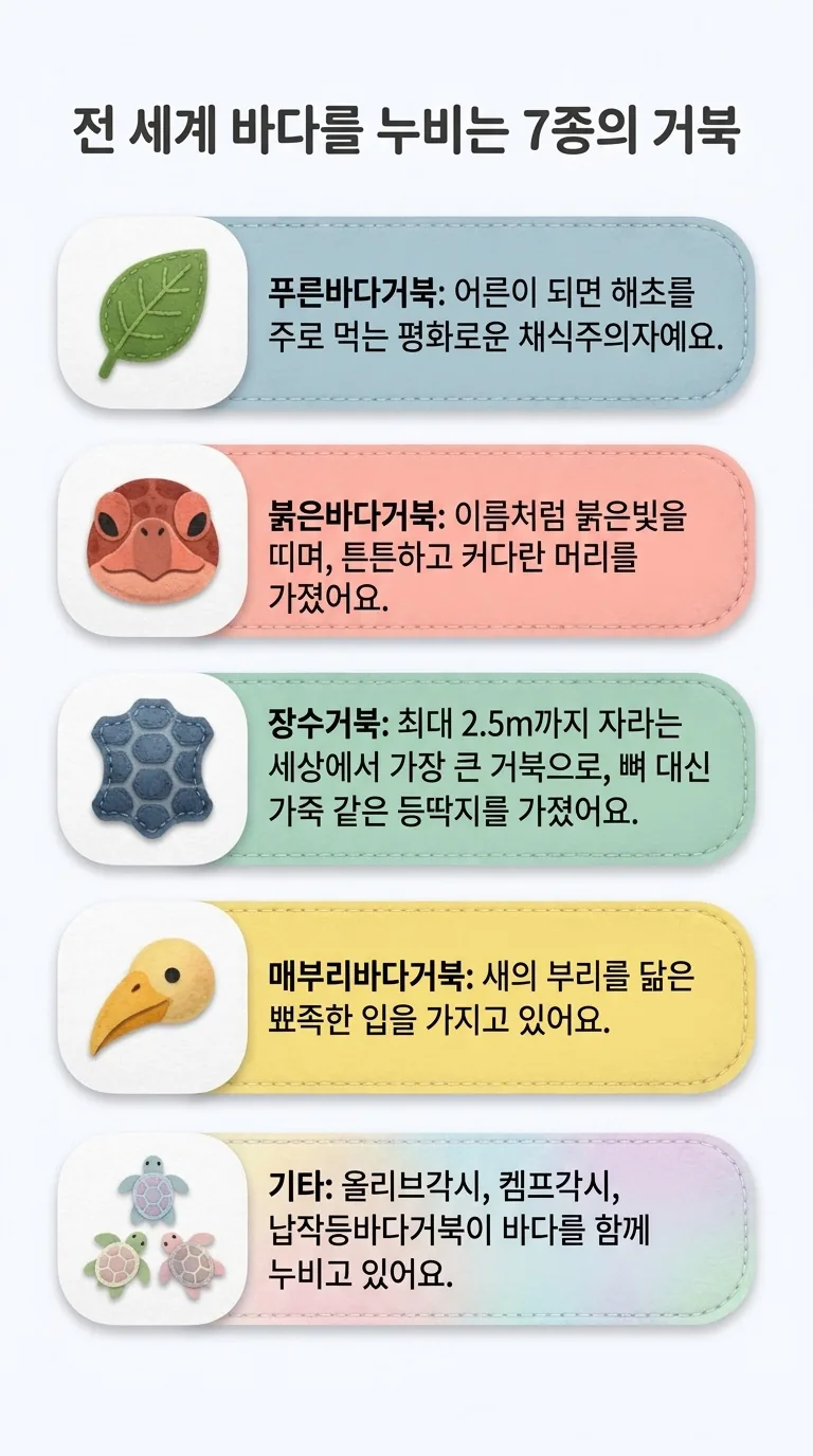 전 세계 바다를 누비는 7종의 거북 — 푸른바다거북 / 붉은바다거북 / 장수거북 / 매부리바다거북 / 기타