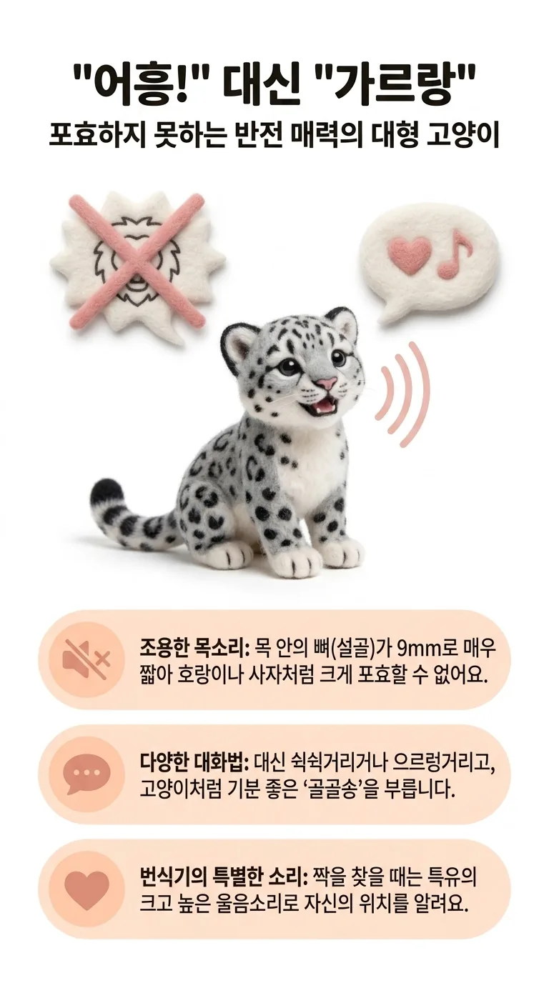 "어흥!" 대신 "가르랑" — 포효하지 못하는 반전 매력의 대형 고양이 — 조용한 목소리 / 다양한 대화법 / 번식기의 특별한 소리