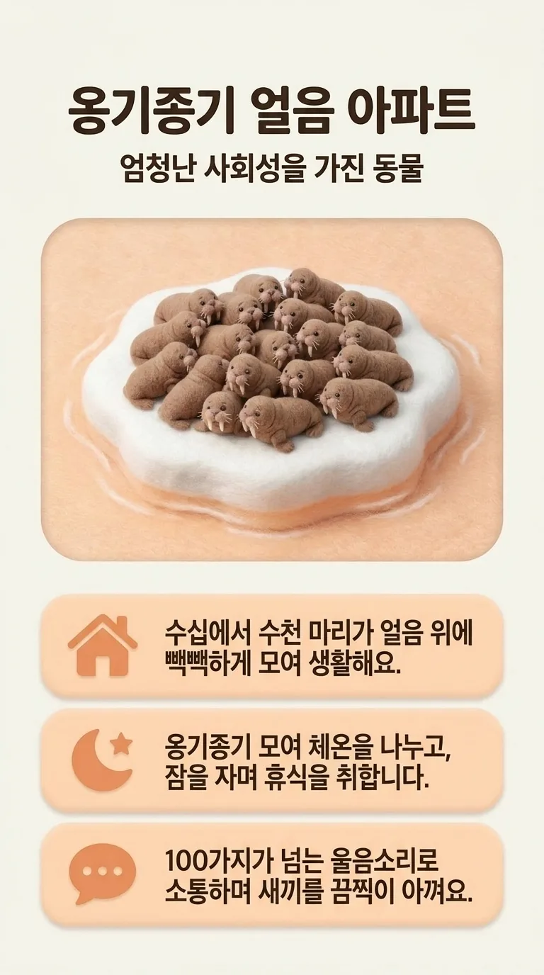 옹기종기 얼음 아파트 — 엄청난 사회성을 가진 동물