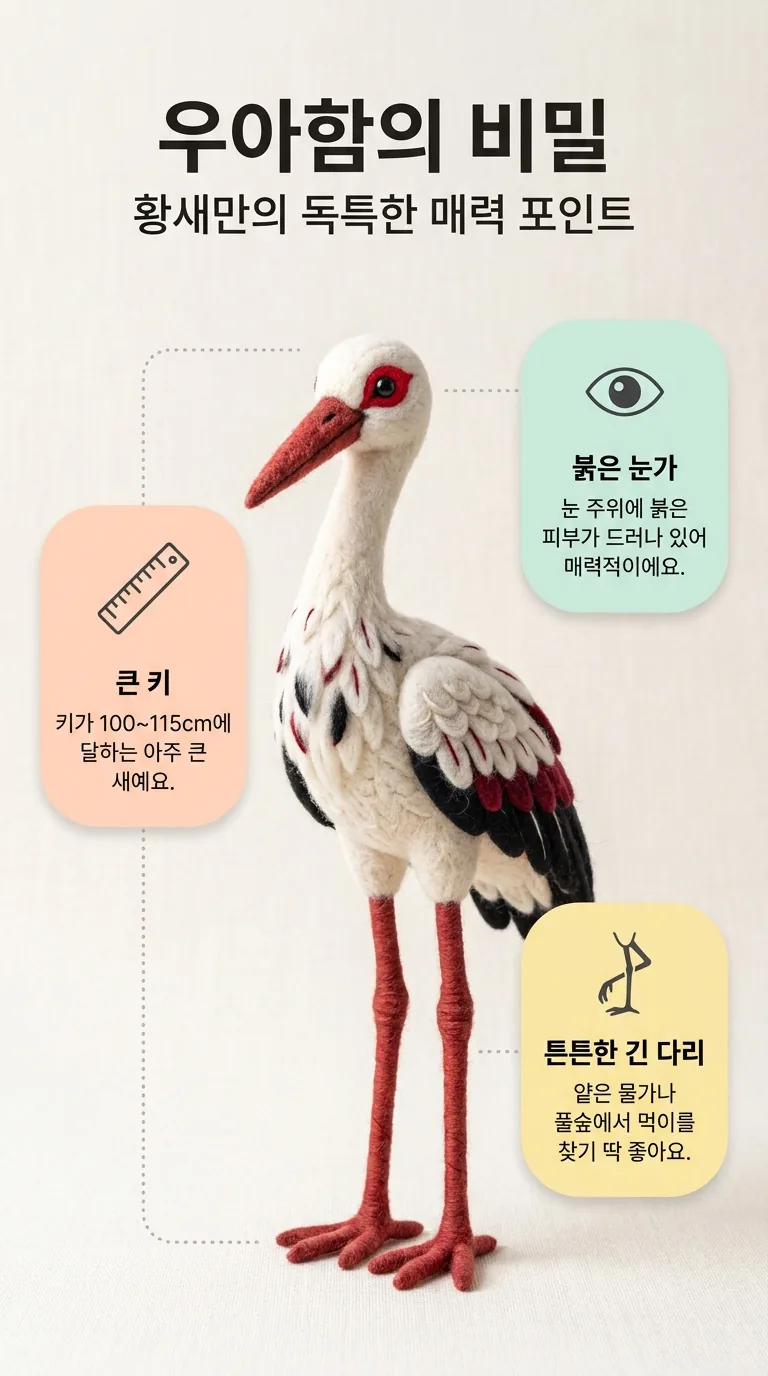 우아함의 비밀 — 황새만의 독특한 매력 포인트 — 붉은 눈가 / 큰키 / 튼튼한 긴 다리