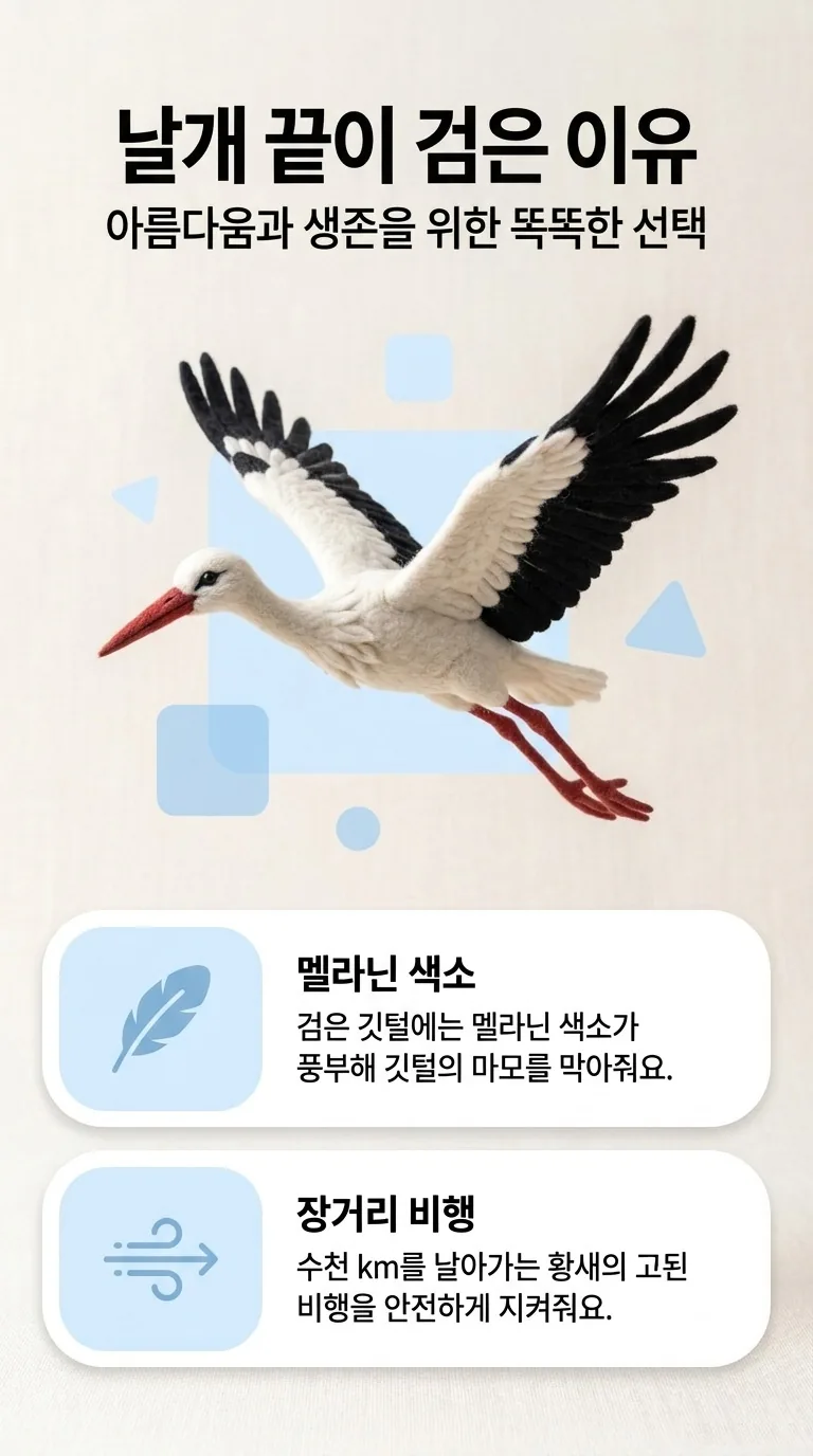 날개 끝이 검은 이유 — 아름다움과 생존을 위한 똑똑한 선택 — 멜라닌 색소 / 장거리 비행