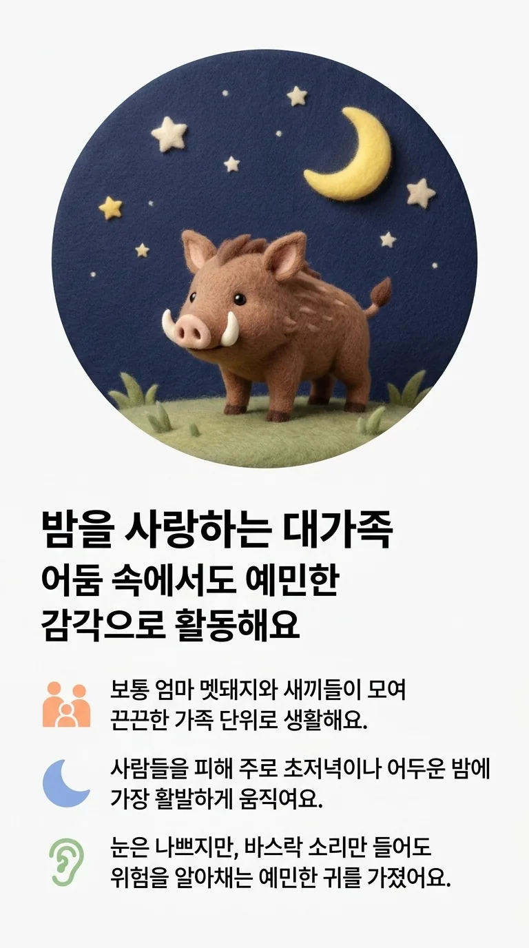 밤을 사랑하는 대가족 — 어둠 속에서도 예민한 감각으로 활동해요