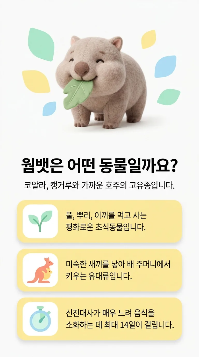 웜뱃은 어떤 동물일까요? — 코알라, 캥거루와 가까운 호주의 고유종입니다.
