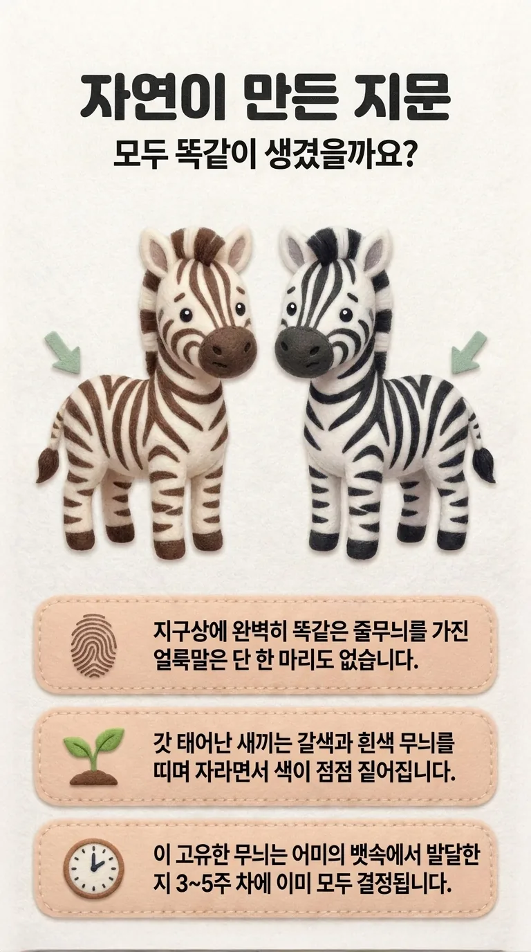 자연이 만든 지문 — 모두 똑같이 생겼을까요?