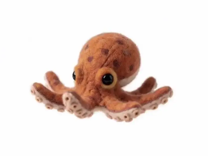 Common Octopus