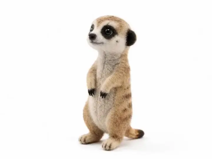 미어캣