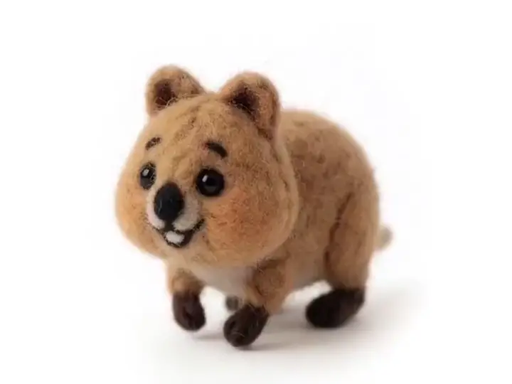 쿼카