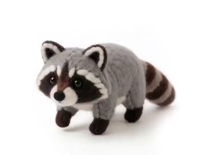 Raccoon