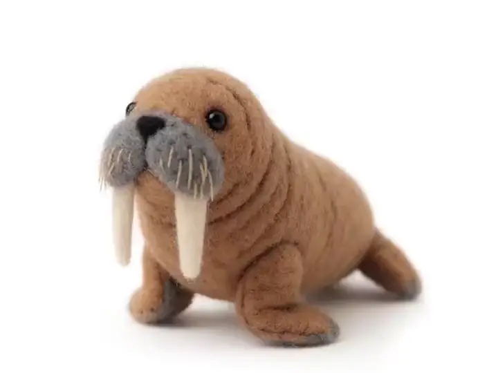 바다코끼리